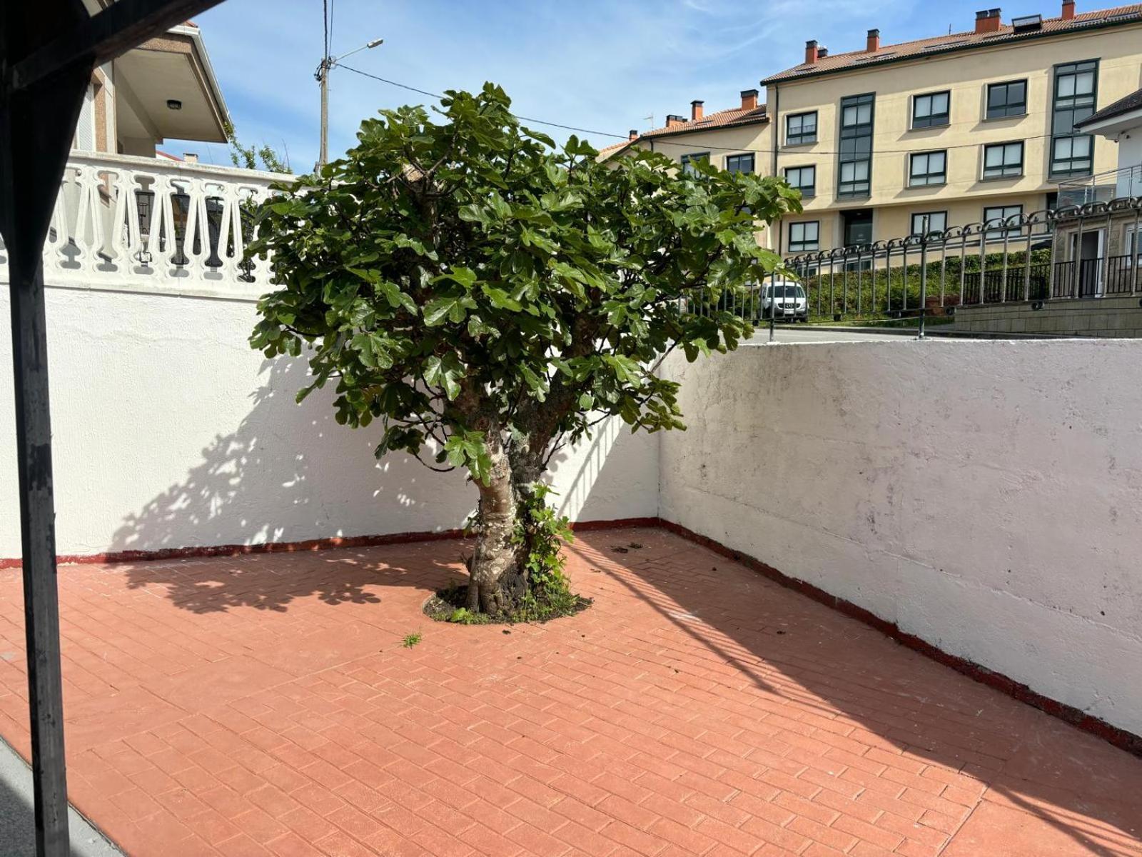 Casa De La Nina,Chalet Familiar Con Gran Terraza Финистерре Экстерьер фото